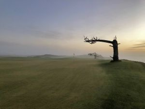 Sheep Ranch 17th Back Tree Mist